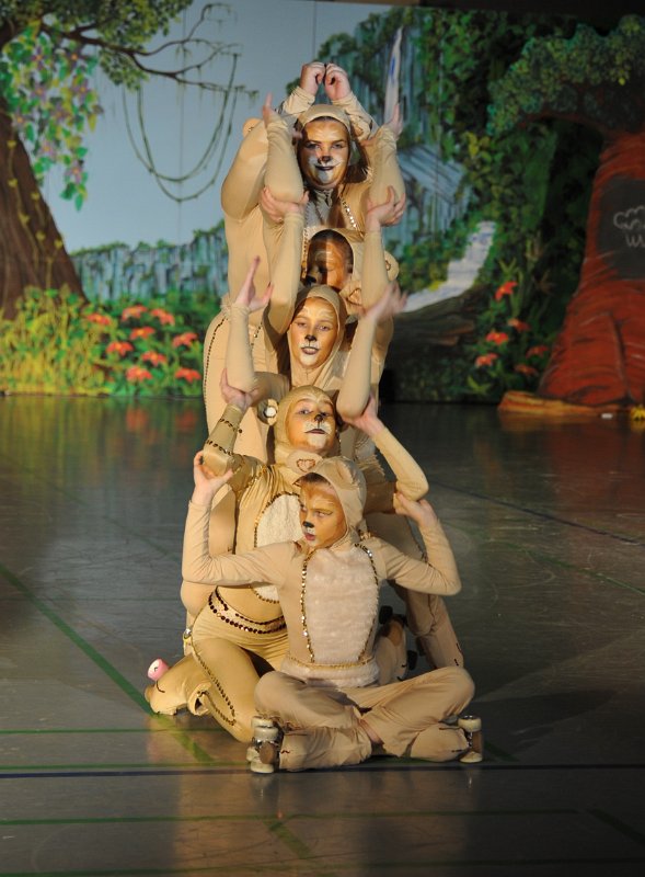 Lionking 0551.JPG